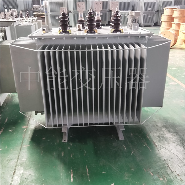 延平S20-800kva/10kv变压器 二级能效